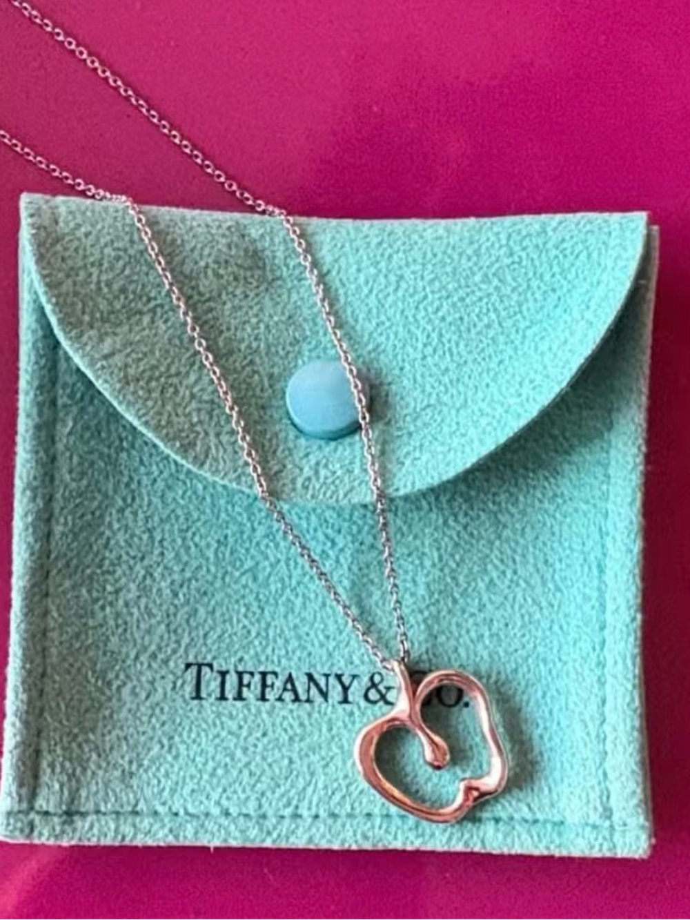 Tiffany & Co. Silver Apple Necklace